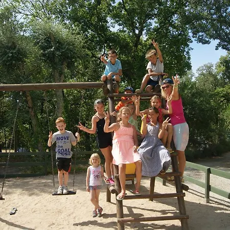 Campsite Camping Charlemagne 4*